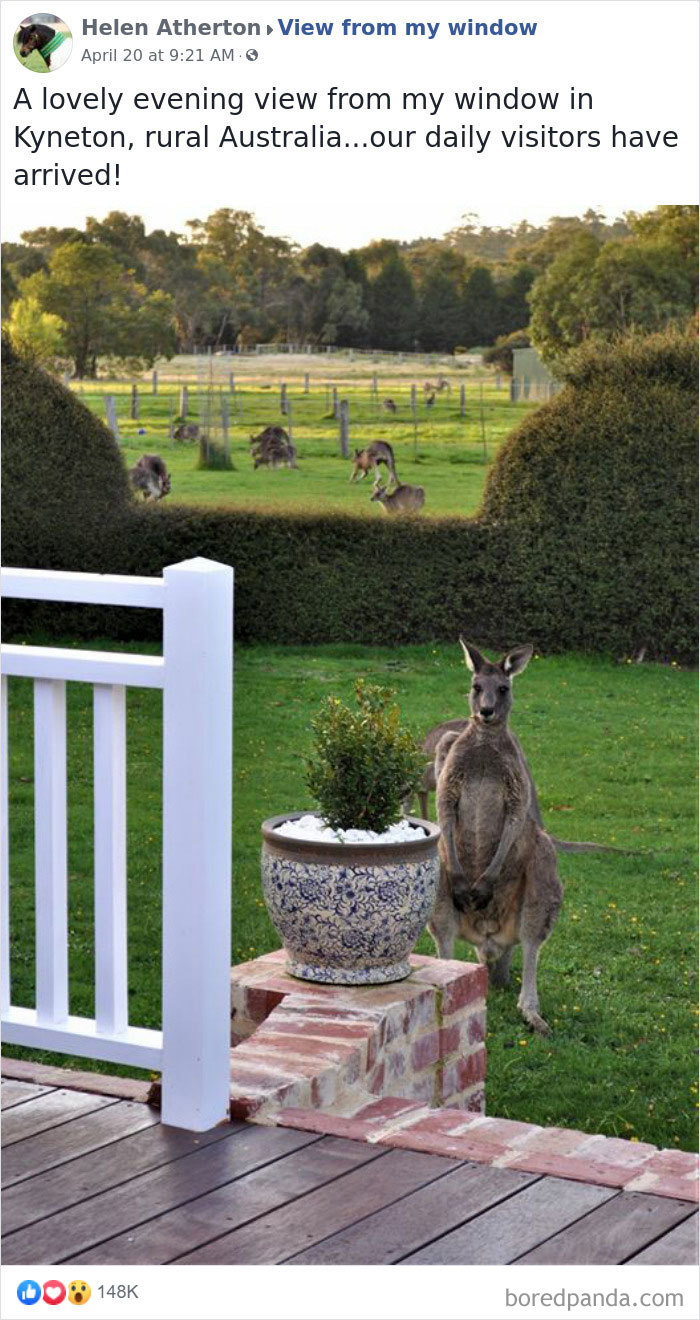 Pemandangan Menakjubkan